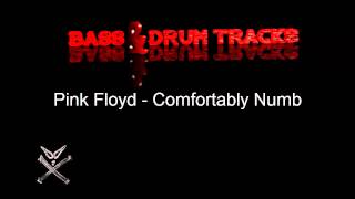 Pink Floyd  Comfortably Numb  Bass And Drum Tracks [upl. by Ander]