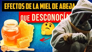 Sorprendentes Beneficios de la Miel de Abeja que los Expertos Quieren Mantener en Secreto [upl. by Borroff435]