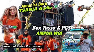 AMPUH WO❗ Amunisi Baru Tsania Audio Box Tasso amp PGS Bikin Mbliyut [upl. by Acirderf]