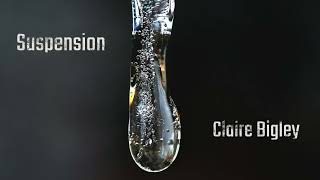 Suspension by Claire Bigley [upl. by Irep]