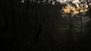 Opening morning duck hunting Indiana WMA [upl. by Anitirhc]