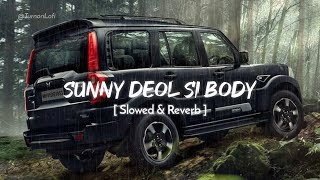 Sunny Deol Si Body Re  Slowed amp Reverb  Raju Punjabi  Choudhar Jaat Ki Latest Haryanvi Song [upl. by Hellman964]