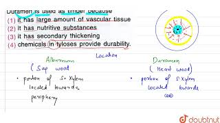 Duramen is used as timber because [upl. by Roma]