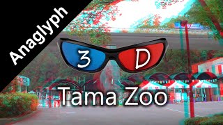 Tama Zoo Tokyo Japan in 3D Anaglyph  What are the animals 多摩動物公園 [upl. by Casta743]