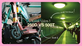 Shooting on 500T VS 250D  Kodak Vision 3 ECN2 Film Comparison [upl. by Melan185]