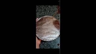 shamzavino Vlogs is live ODD ASMR  VERY SATISFYING FANTASTIC FOIL ASMR SOUND asmr trending foil [upl. by Giess]