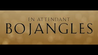 EN ATTENDANT BOJANGLES  Bandeannonce VF Virginie Efira Romain Duris et Grégory Gadebois [upl. by Aiyot]