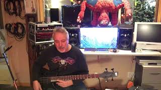 Ibanez SR670SKF Bass Guitar Review 121120 [upl. by Reeher433]