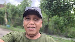 adsense errorhancur semua channel [upl. by Janos]