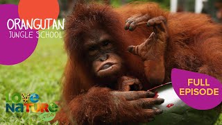 How to Speak Orangutan  Orangutan Jungle School 205 [upl. by Rehpoitsirhc]