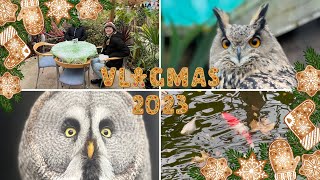 Leaving Haven Seashore amp Fritton Owl Sanctuary  Vlogmas day 22 [upl. by Eimmis]