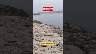 चंबल का बीहड़ क्षेत्र  Chambal ka beehad kshetra  Chambal Beehad Area  Chambal Ravines History [upl. by Akived]