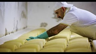 El Queso de Paipa un Producto Tradicional Colombiano  TvAgro por Juan Gonzalo Angel [upl. by Sauveur566]