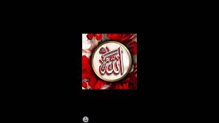 HAYYAN ONLINE QURAN is live [upl. by Gnaoh]