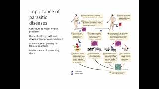 Importance of parasitology [upl. by Eadith903]