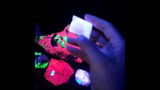 Calcite Under UV Light [upl. by Bartholomeus]