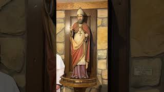 Saint Alphonsus de Liguori  shalom tech youtubecreators youtubehighfive youtubeshorts zoo [upl. by Ydoj421]