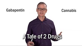 A Tale of Two Drugs THC amp GABApentin Dr Ian Mitchell 2019 CannSolve Summit  Cannabinoids amp Pain [upl. by Northrop]