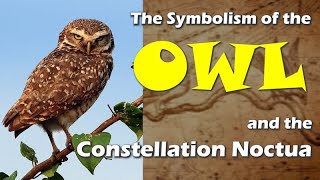 The Symbolism of the Owl and the Constellation Noctua [upl. by Norreht]