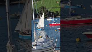 race down penryn river [upl. by Zipah]