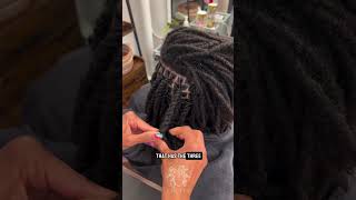 How to 3 Strand Twist Locs locstyles retwist locs dreads twists locstyles knottyloclab [upl. by Domingo]