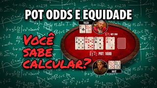 Você sabe calcular Pot Odds e Equidade [upl. by Maiocco]