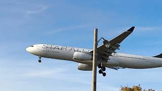 planes landing pearson airport NOV 18 2024 TORONTO CANADA [upl. by Bently]