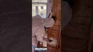 sprayfoaminsulation foam opencell usa contructionwork satisfyingvideo shorts viralshort [upl. by Imehon25]