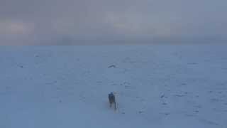 Beinn Udlamain 360° Summit View Winter [upl. by Palma]