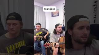 Marigold  nirvana unplugged cover acousticunplugged acoustic [upl. by Pettifer]