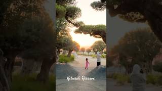 Keturah reserve dubai placestovisit outdoors getaway weekend hiddengems olivetree dubailife [upl. by Bainbrudge]