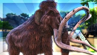 ARK Survival Evolved Server  THE WOOLY BULLY 51 [upl. by Hera]