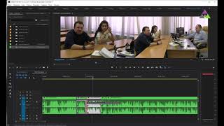 PluralEyes 4  многокамерный монтаж в Adobe Premiere [upl. by Deerdre]