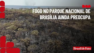 Fogo no Parque Nacional de Brasília ainda preocupa [upl. by Nnayd]