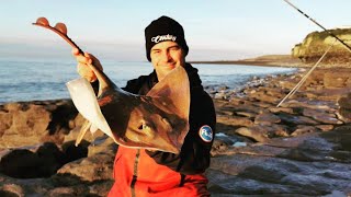 Bristol Channel Ray Conger eel fishing with UK fishing guide GG 🦈🎣 [upl. by Beauregard415]