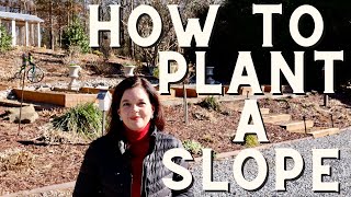 Ask Jenny How To Plant a Slope [upl. by Jourdan]