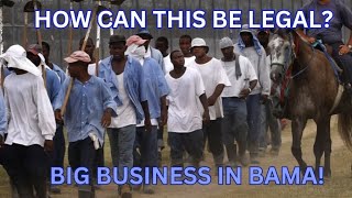 💰 Behind Bars The Mega MillionDollar Prison Industry Exposed 🚨 [upl. by Aprilette]