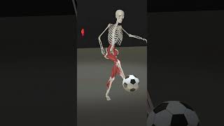 Soccer Anatomy [upl. by Ugo]