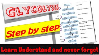 Glycolysis Understand It Memorize It and Never Forget It  Animation [upl. by Lorena]