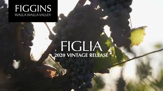 2020 FIGGINS Figlia Release [upl. by Gurango]