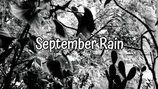 September Rain Original Song Lyrics [upl. by Enneite]