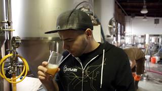 Homebrew History The Origins of the Craft Beer Movement [upl. by Viquelia]