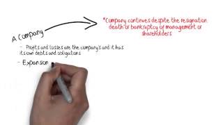 Business Studies  Legal Structure Structure Business Exam Tips [upl. by Korie]