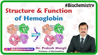 Structure and function of hemoglobin [upl. by Darrey]