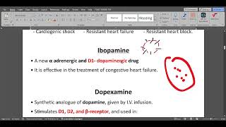 ANS Synthetic sympathomimetics [upl. by Mayram]