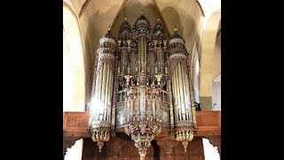 Sietze de Vries Improvisatie over Ein Feste Burg Martinikerk Bremen [upl. by Hairom]