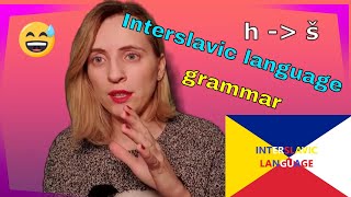 Interslavic language grammar changes [upl. by Anna-Diane]