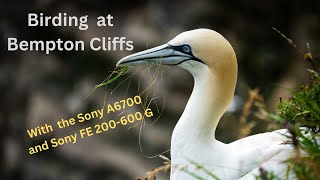 Birding at RSPB Bempton Cliffs With Sony A6700 and Sony FE 200600 G lens sonya6700 sony200600 [upl. by Itch]