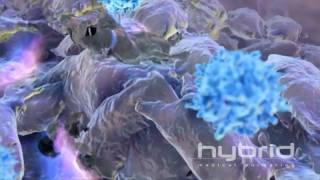 Immunemediated Tumor Destruction HD [upl. by Orwin]