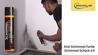 Anti Schimmel Farbe PCI Schimmel Schock 40 [upl. by Onitnas]